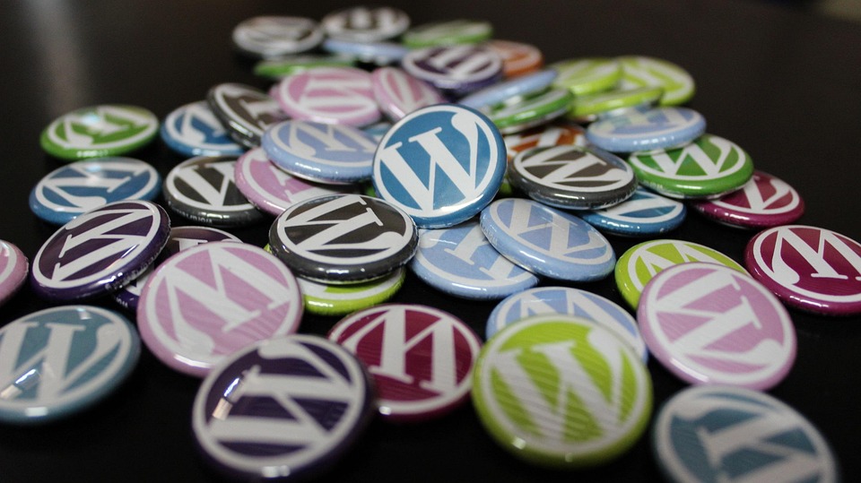 CMS vs Situs Web Kustom: Mana yang Lebih Baik untuk Bisnis Anda?