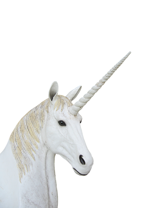 Keberhasilan Startup Unicorn di Indonesia: Peluang dan Tantangan