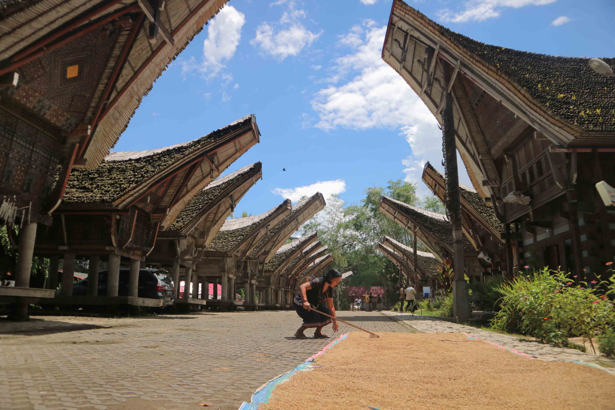 Keunikan Rumah Tongkonan Arsitektur Budaya Toraja