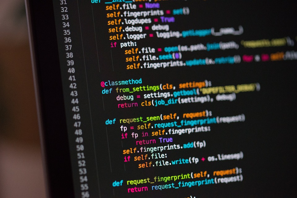 Langkah Awal Belajar Web Development untuk Pemula