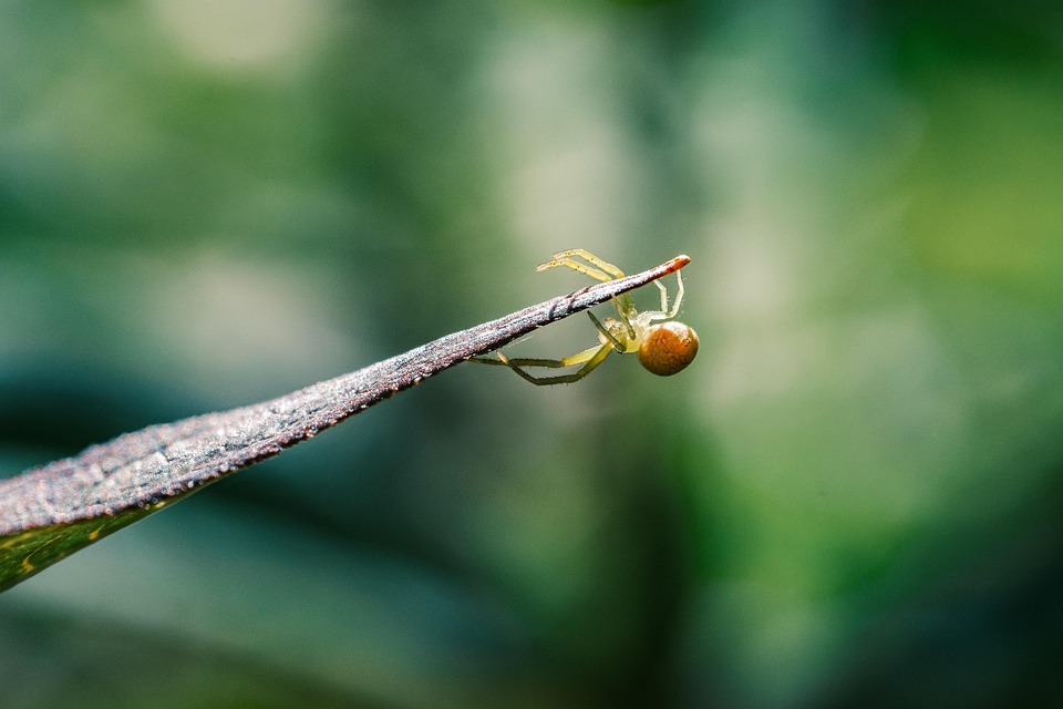 Menggunakan Laravel untuk Membangun RESTful API yang Scalable
