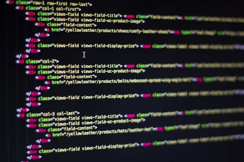 Panduan Lengkap Belajar Web Development untuk Pemula