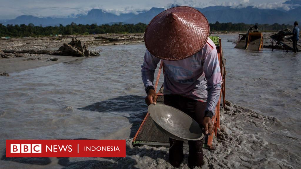 Papua: Pendulang emas berulang kali tewas di tengah konflik bersenjata Papua, siapa mereka dan mengapa ada di tengah hutan?