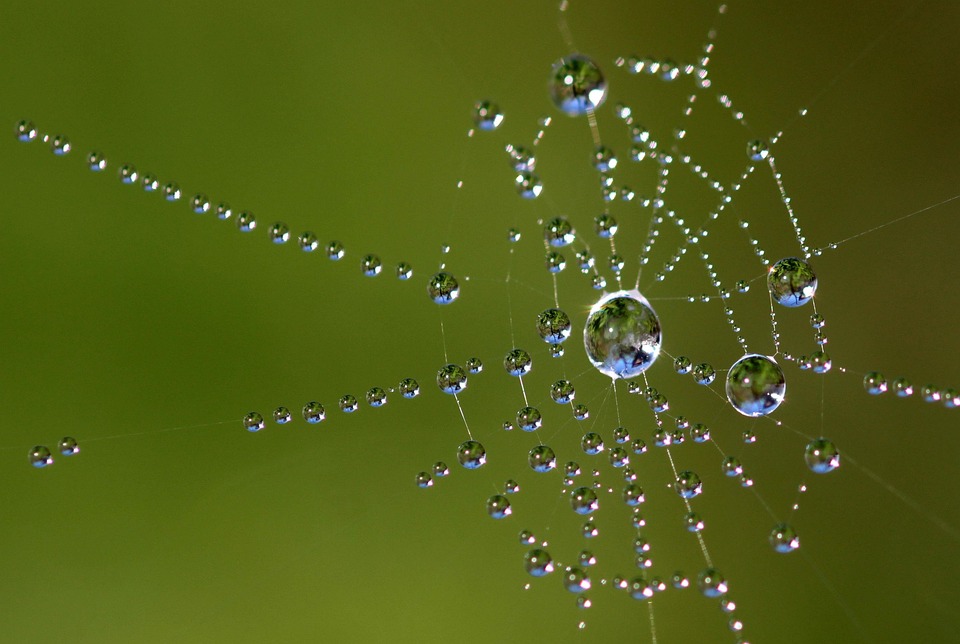 Pengembangan Web Modern dengan Node.js: Panduan Lengkap untuk Developer
