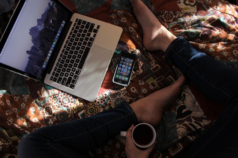 Software Berbayar vs Gratis: Kelebihan dan Kekurangannya