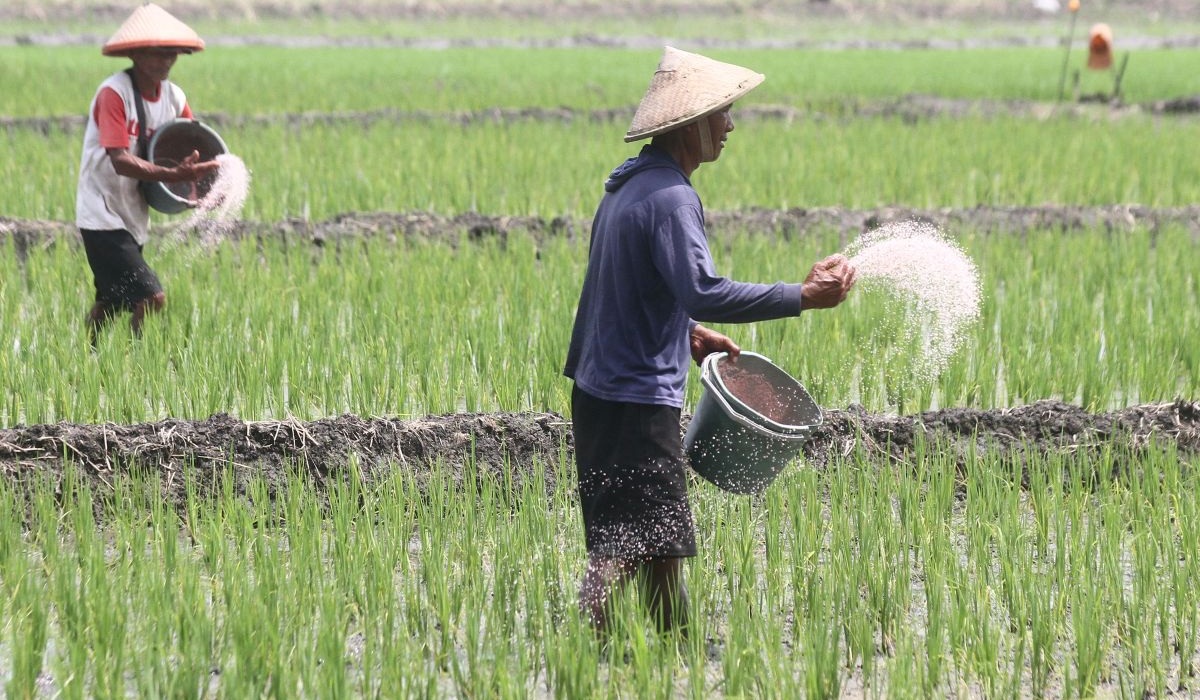 Swasembada Adalah Kemandirian Pangan untuk Negara