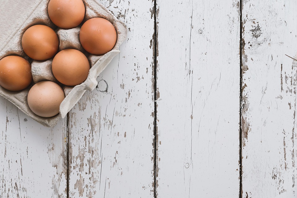 AI untuk Prediksi Protein