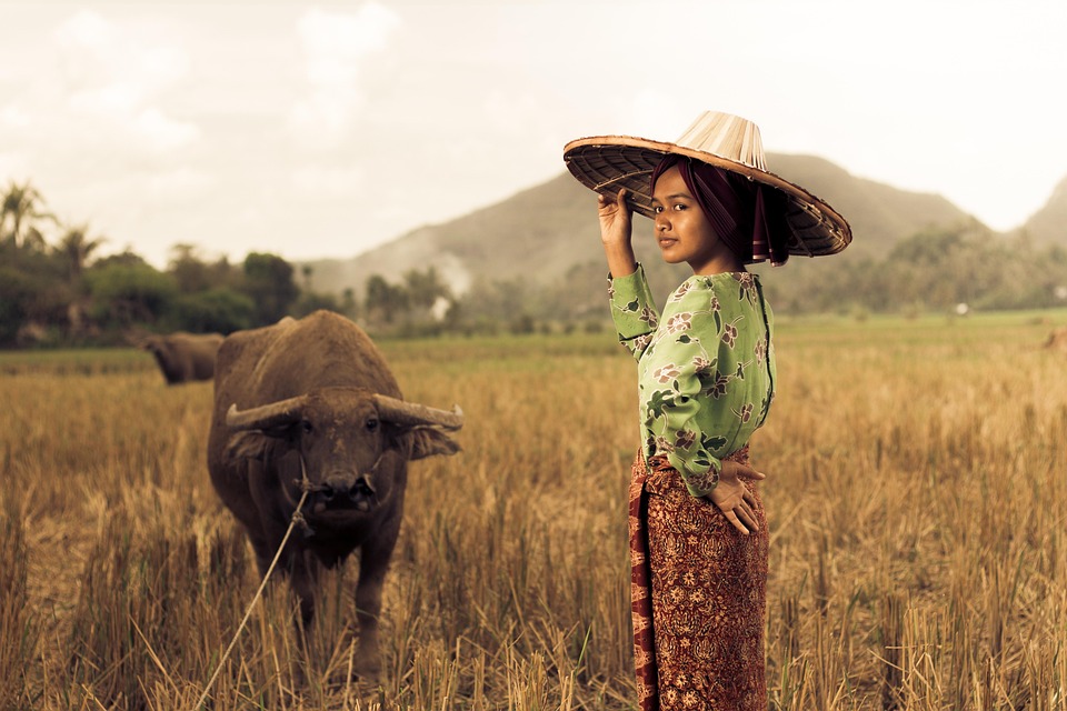 Desa Wisata Terbaik di Indonesia yang Wajib Dikunjungi