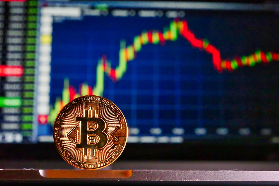 Panduan Lengkap Crypto untuk Pemula: Memahami Dasar-Dasar Cryptocurrency