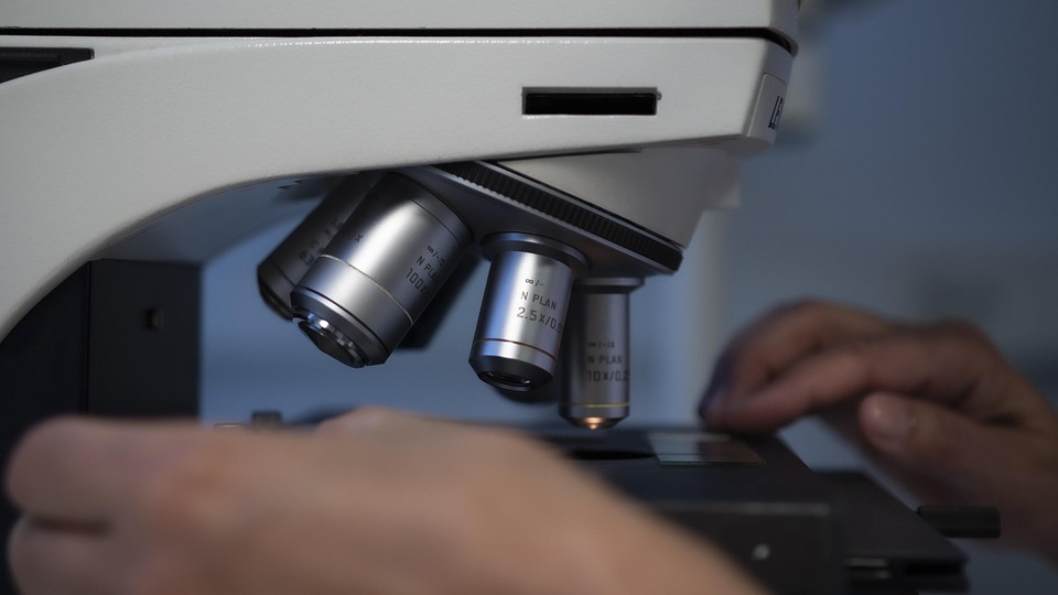 Perkembangan Terkini dalam Bioteknologi: Inovasi dan Aplikasi