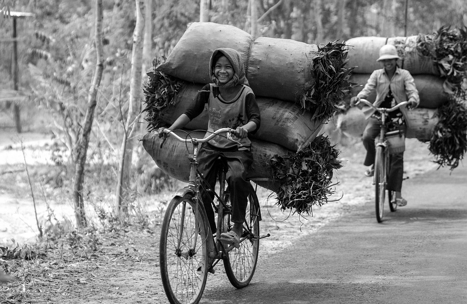 Rasa Otentik Masakan Kampung Halaman yang Menggugah Selera