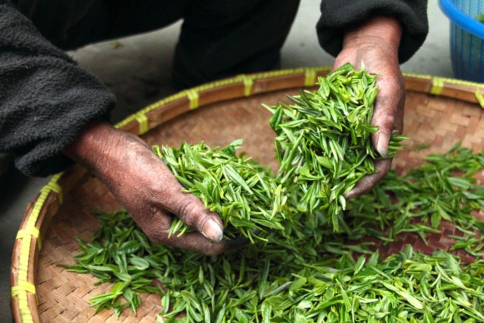 Strategi Pemungutan Pajak Melalui Tax-Loss Harvesting